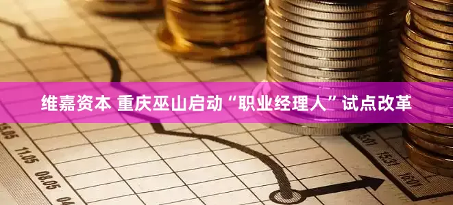 维嘉资本 重庆巫山启动“职业经理人”试点改革
