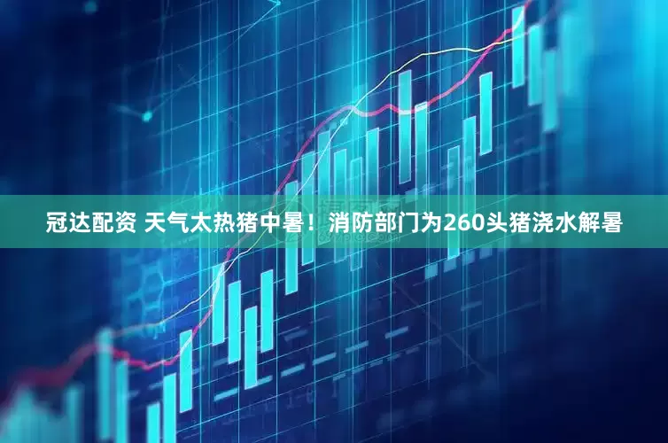 冠达配资 天气太热猪中暑！消防部门为260头猪浇水解暑