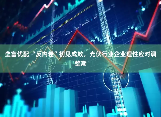 垒富优配 “反内卷”初见成效，光伏行业企业理性应对调整期
