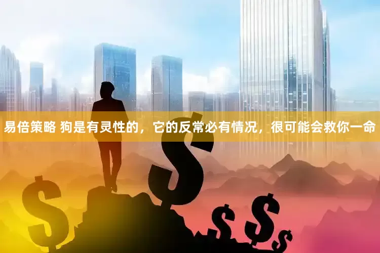 易倍策略 狗是有灵性的，它的反常必有情况，很可能会救你一命