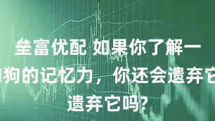垒富优配 如果你了解一条狗狗的记忆力，你还会遗弃它吗?